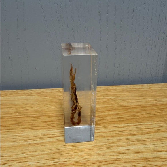Scorpion Paperweight 🦂 - Picture 5 of 15